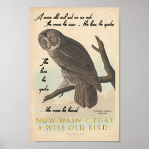 Poster Wise Old Owl