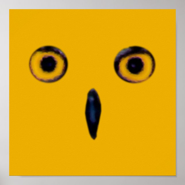 Poster Wise Old Owl Eyes (Frente)