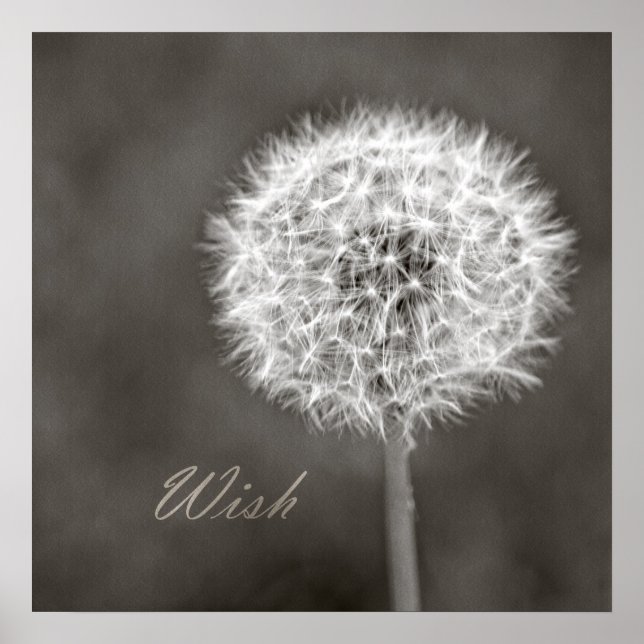 Póster Wish Dandelion inspirado (Frente)