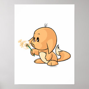 Póster Wishing orange Kacheek
