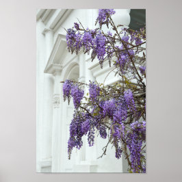 Poster Wisteria, Histórica House Charleston Carolina do S