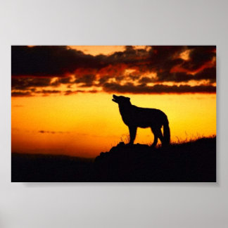 Poster Wofl Sunset