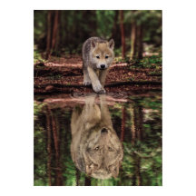 Wolf and Pup Water Reflection, Abstract Motivation