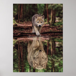 Poster Wolf and Pup Water Reflection, Abstract Motivation