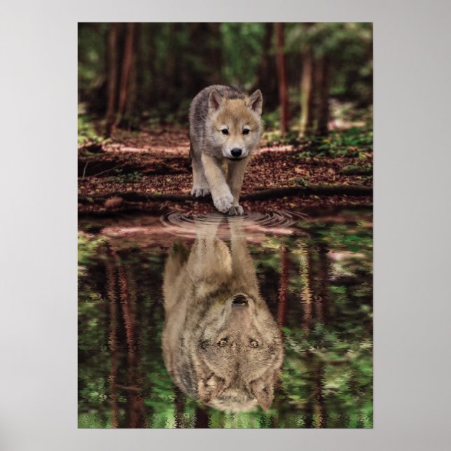 Poster Wolf and Pup Water Reflection, Abstract Motivation (Frente)