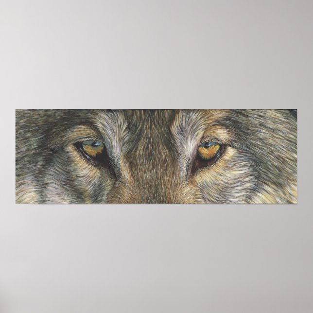 Poster Wolf Eyes (Frente)