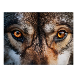 Póster Wolf Gaze