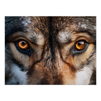 Póster Wolf Gaze
