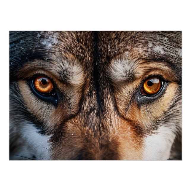 Póster Wolf Gaze (Frente)