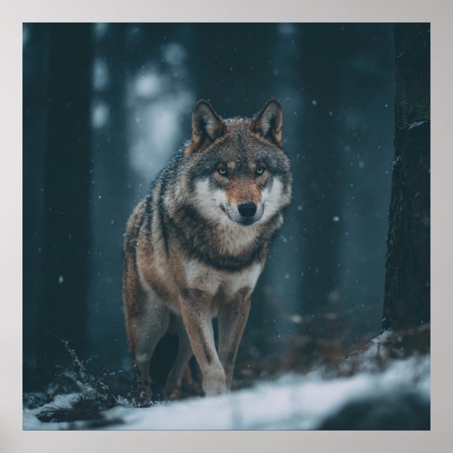 Poster Wolf in Winter (Frente)