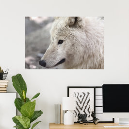 Poster Wolf Lovers Art