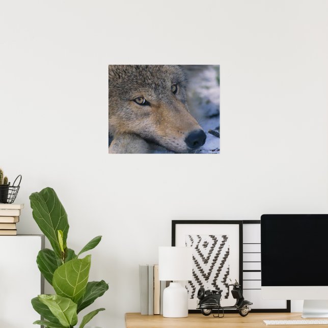 Póster Wolf Lovers Art (Escritório em casa)