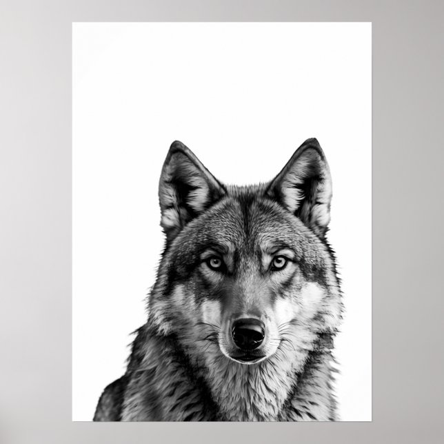Poster Wolf Modern Retrato preto (Frente)