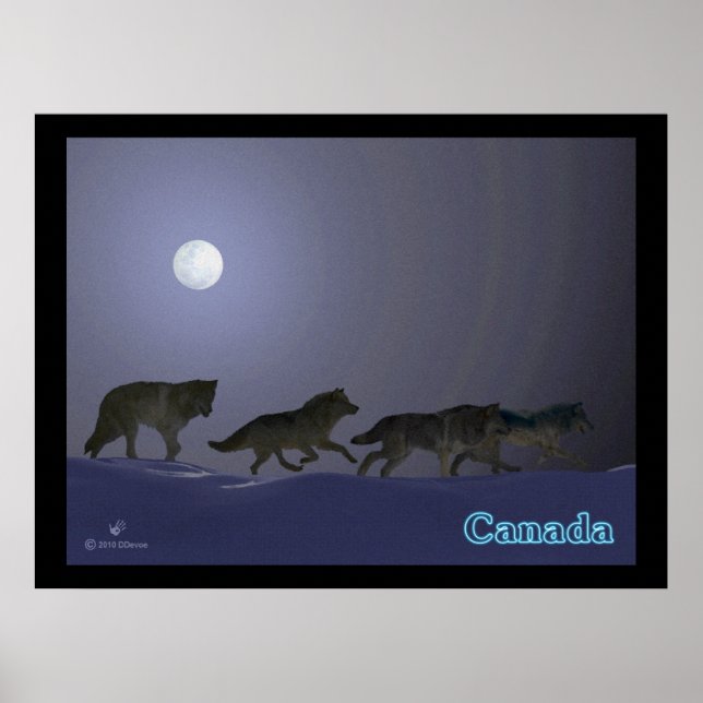 Póster Wolfpack (Frente)