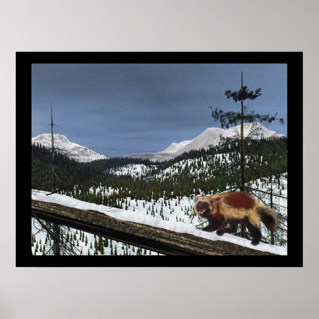 Póster Wolverine (Frente)