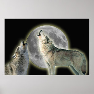 Poster Wolves Howling em Moon Canvas Print