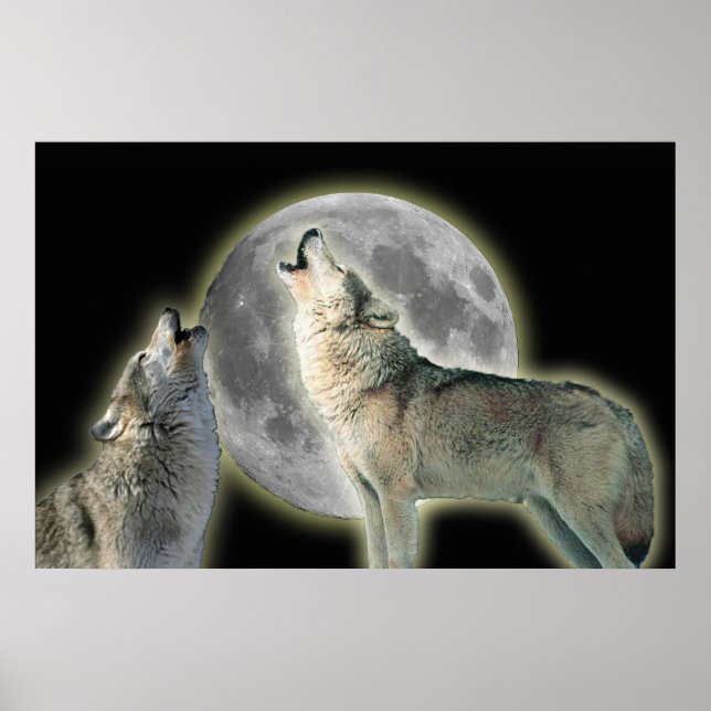 Poster Wolves Howling em Moon Canvas Print (Frente)