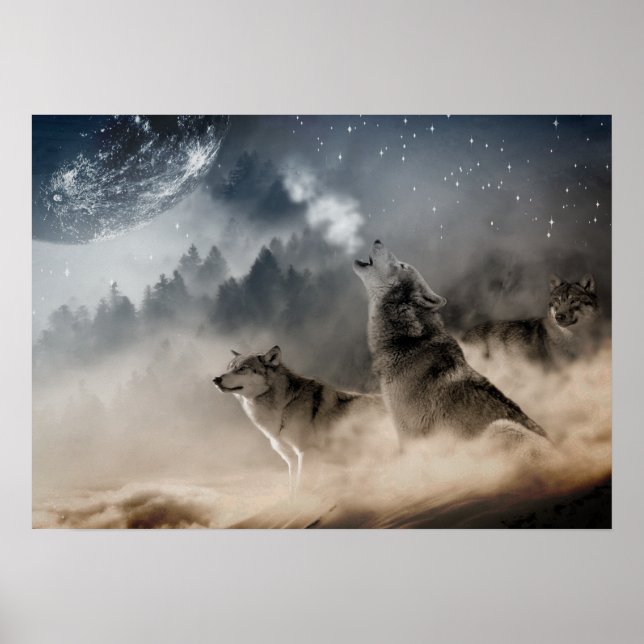 Poster Wolves Howling Na Lua Do cheio (Frente)