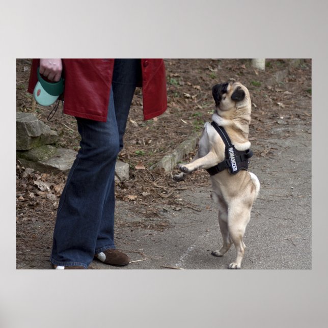 Póster Womanizer (Frente)