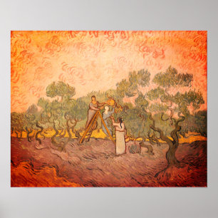 Poster Women Picting Olives por van Gogh: