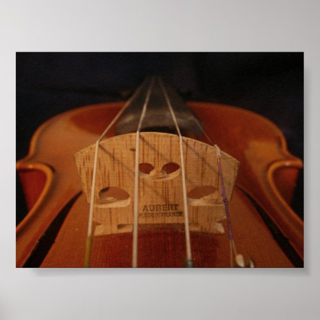 Póster Wonder 2 de quatro cordas (Frente)