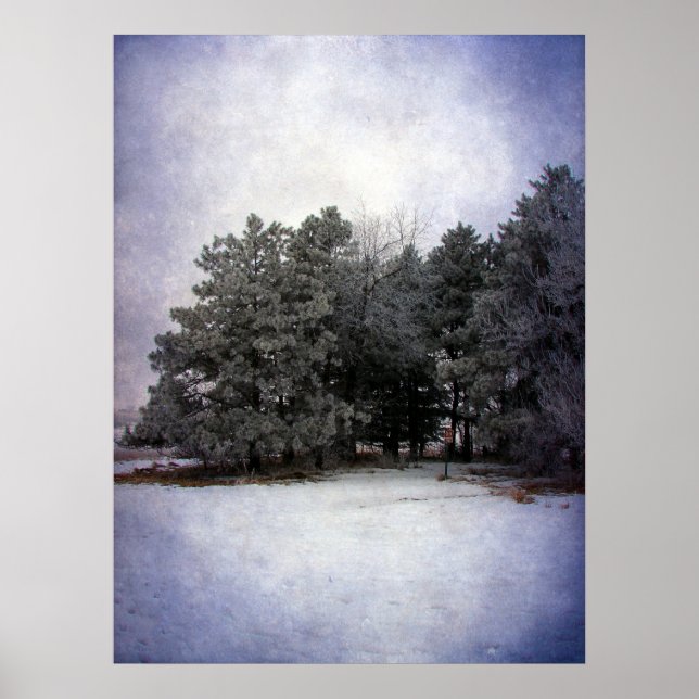 Poster Wonderland (Frente)