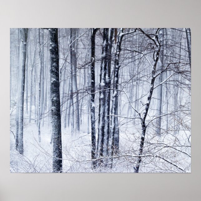 Póster Wonderland (Frente)