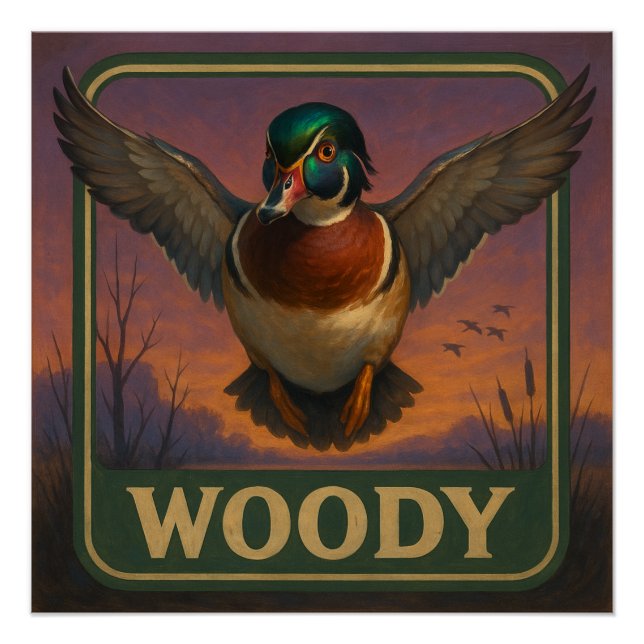 Póster Wood Duck Poster (Frente)