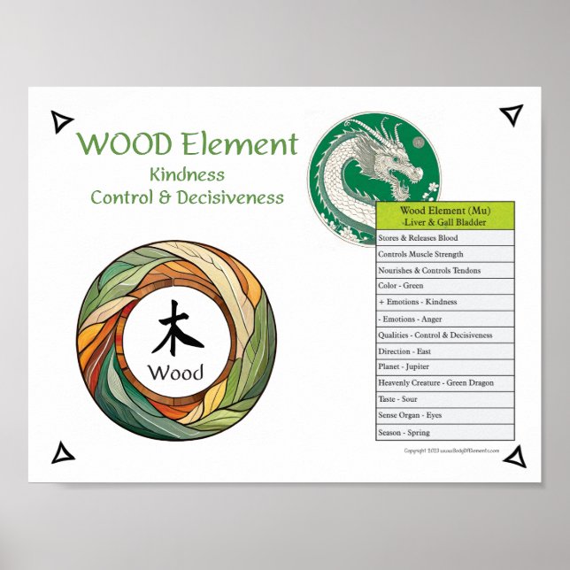 Poster Wood Element Acupuncture (Frente)