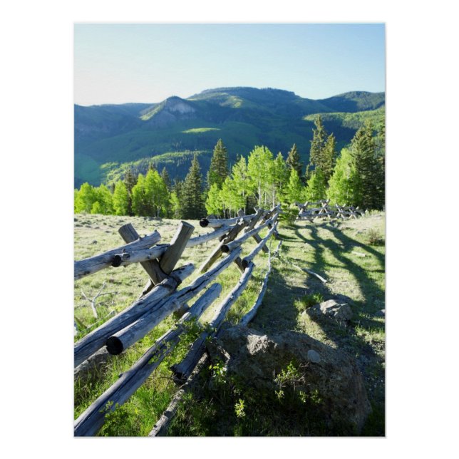 Póster Wooden Fenceline (Frente)