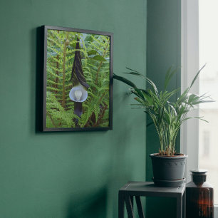 Póster Woodland Jack in the Pulpit Floral