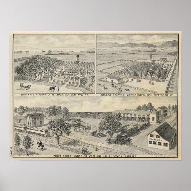 Póster Woodland Lumber (Frente)