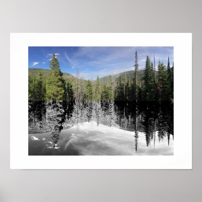 Poster Woodland Reflection Photography (Frente)