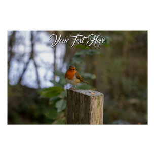 Póster Woodland Robin Glossy Poster