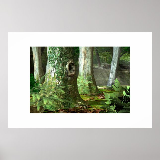 Póster Woodlands Inglês (Frente)