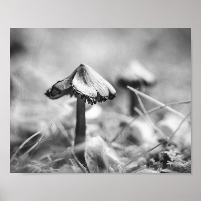 Poster Woodsy Mushroom Black and White Nature Archival (Frente)