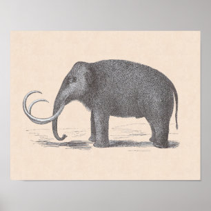 Póster Wooly Mammoth Extinct Mastodon Funny Vintage