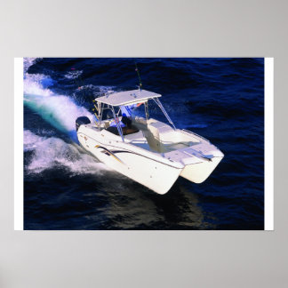 Póster World Cat 250DC