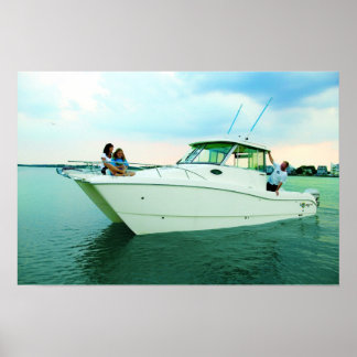 Póster World Cat 270HT