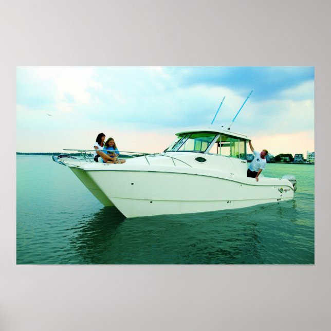 Póster World Cat 270HT (Frente)