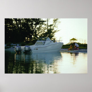 Póster World Cat 270SC