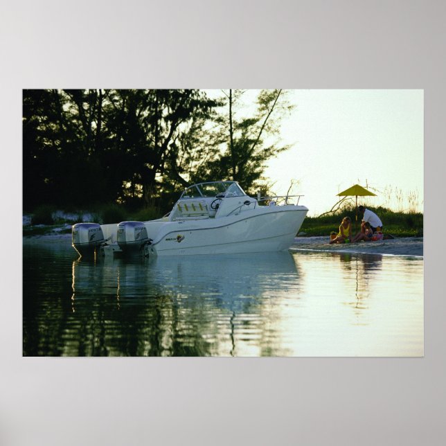 Póster World Cat 270SC (Frente)