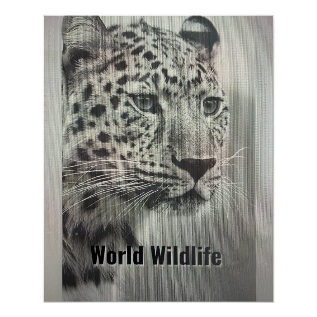 PÓSTER WORLD WILDLIFE POSTER (Frente)