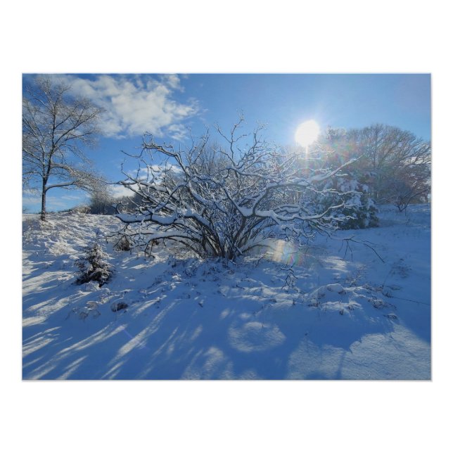 Póster Wow is the Winter of Artist Content (Frente)