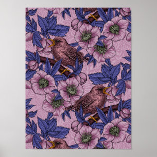 Poster Wren e hellebore, rosa e violeta