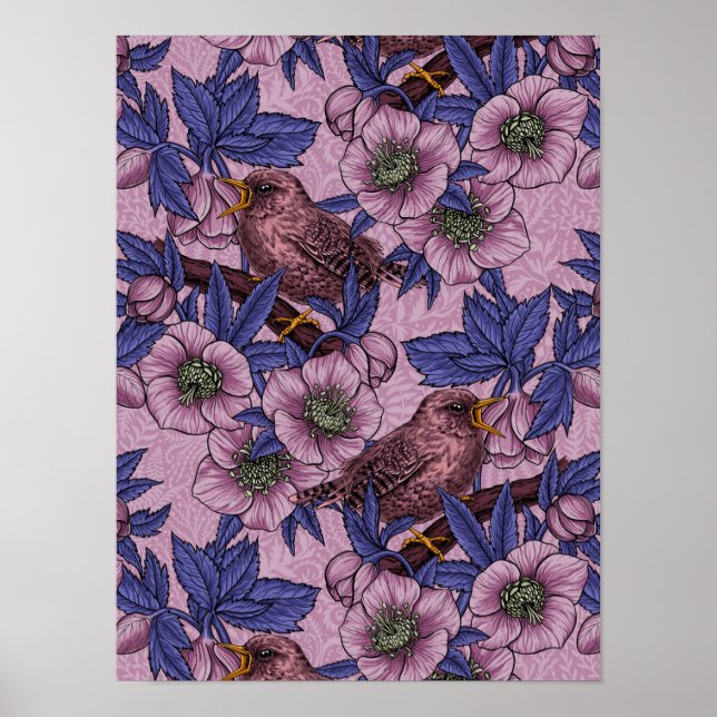 Poster Wren e hellebore, rosa e violeta (Frente)