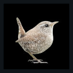 Poster Wren (Preto)<br><div class="desc">"Wren" é um desenho original por MWright para artwright. Arte moderna barato para as suas paredes.</div>