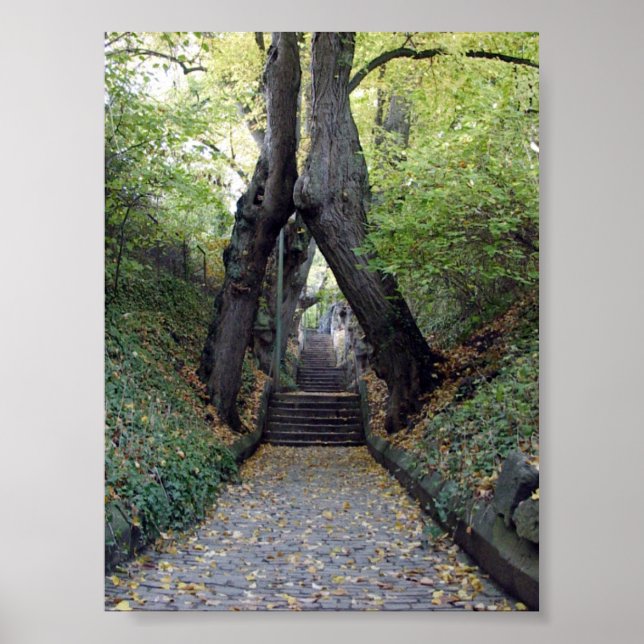 Póster Wurzburg, Alemanha (Frente)