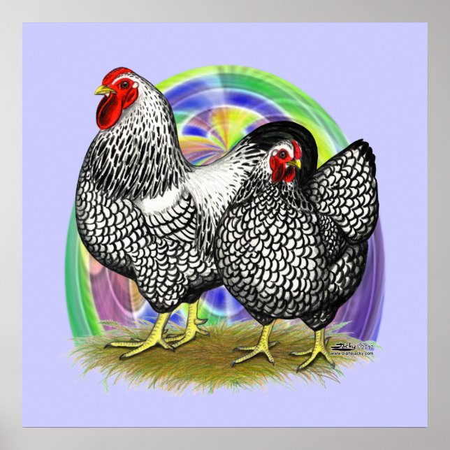 Póster Wyandotte: Par de Ovos de Páscoa (Frente)