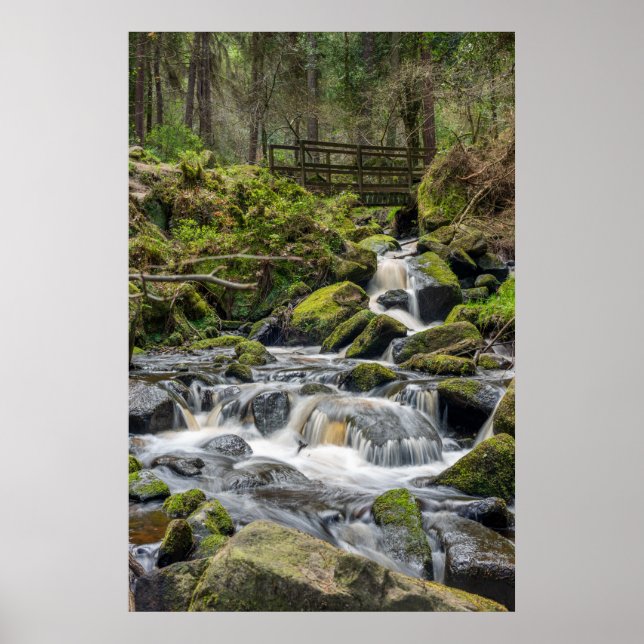 Poster Wyming Brooke, Sheffield (Frente)